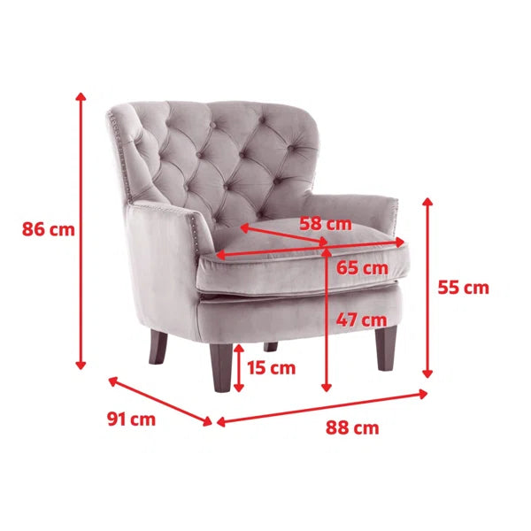 Velvet Wing back Accent Chair