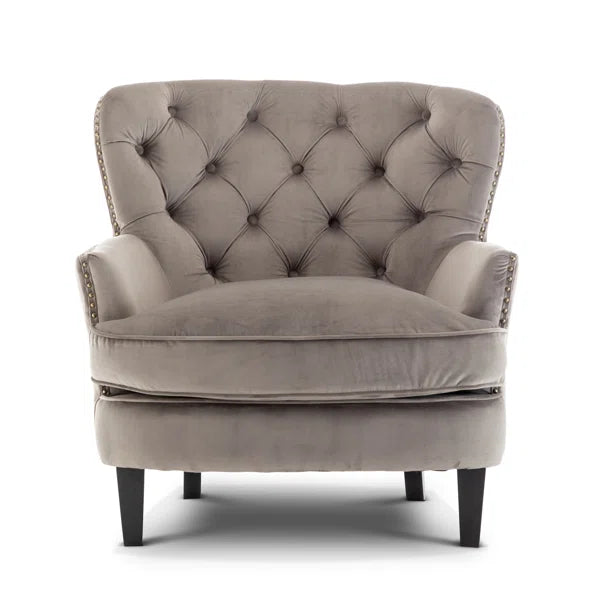 Velvet Wing back Accent Chair